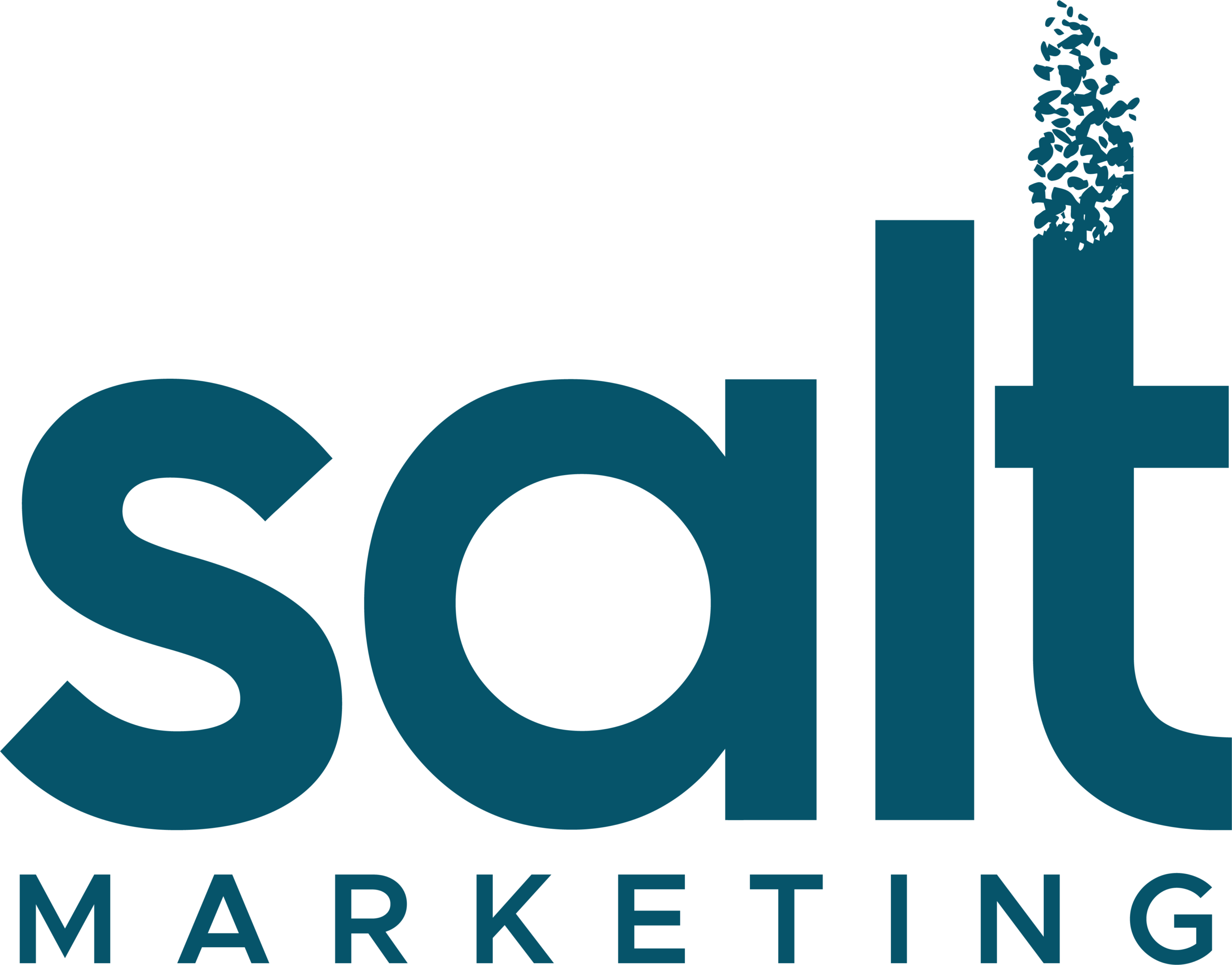 salt marketing logo