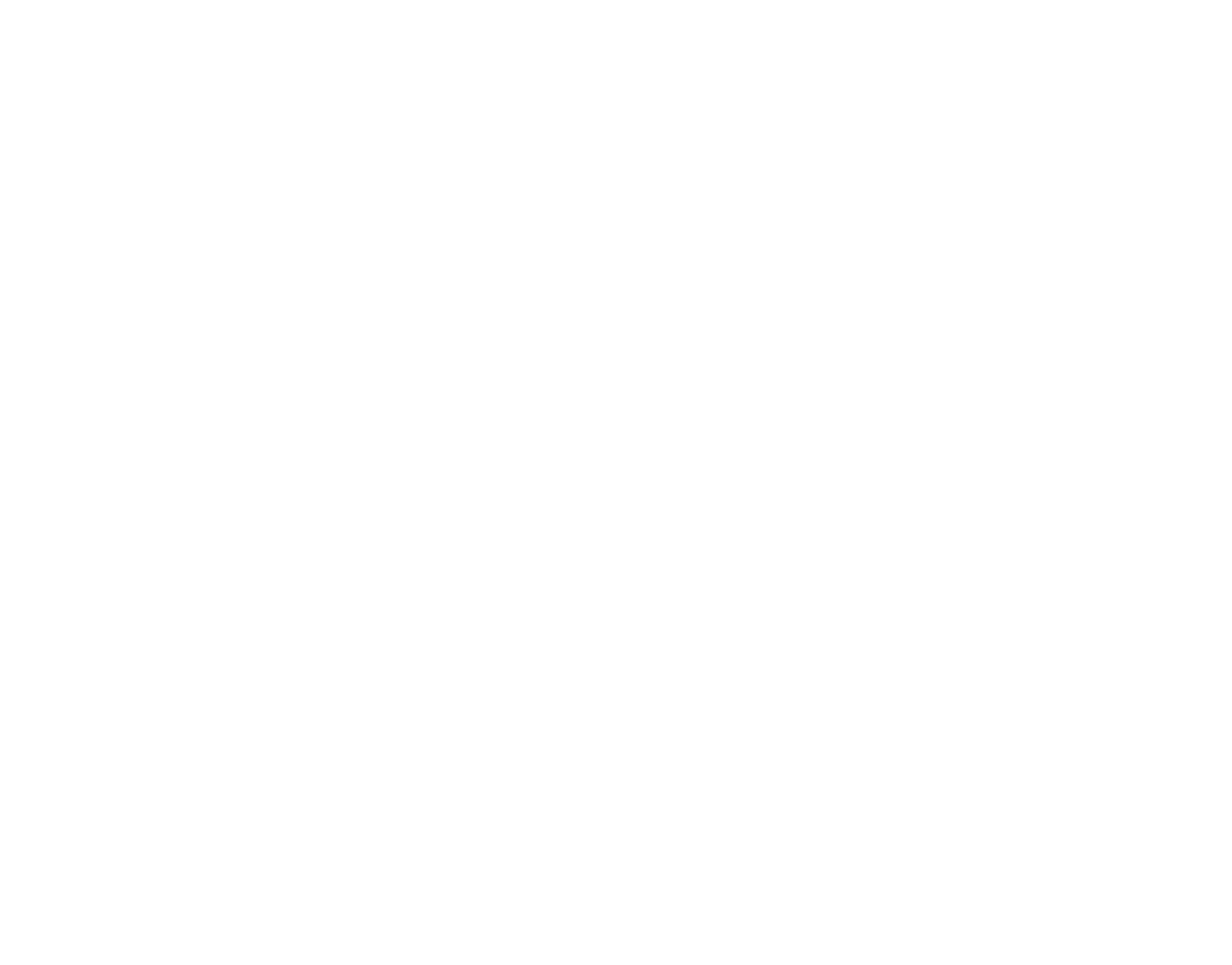 Salt Marketing_vertical_white salt marketing logo