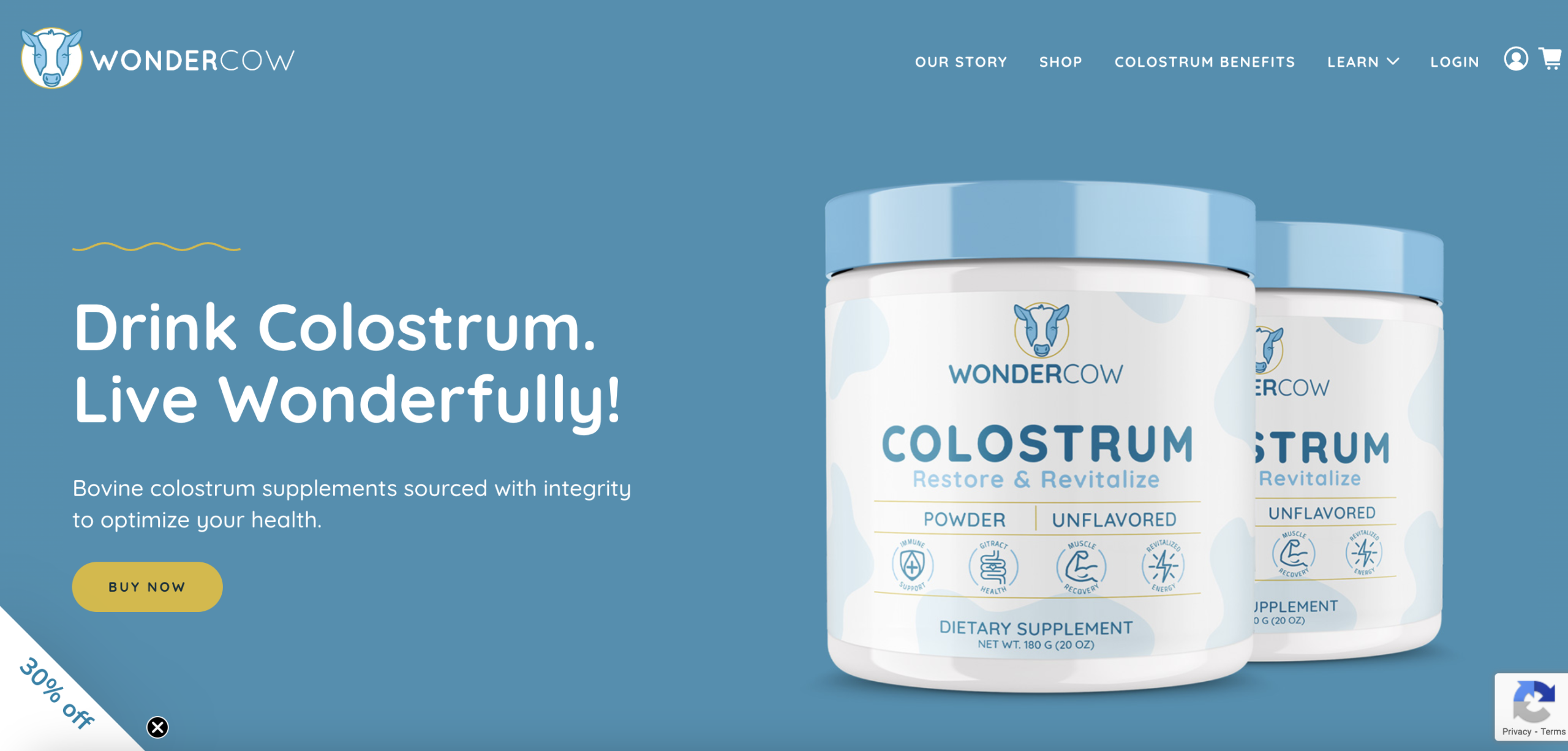 WonderCow Storybrand website