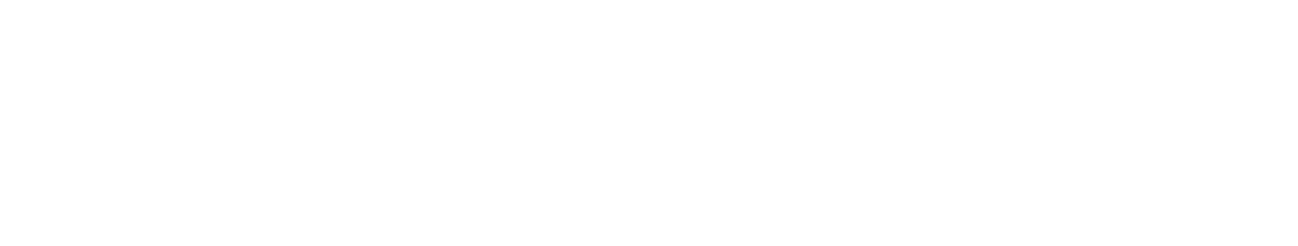 salt marketing logo wordmark