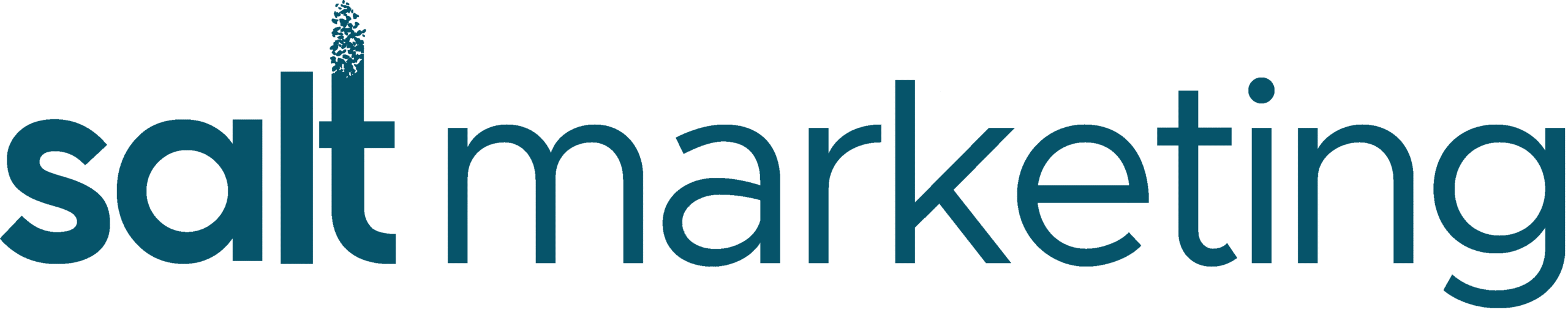 salt marketing logo