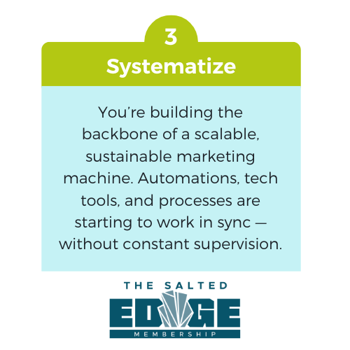 Stage 3 Systematize
