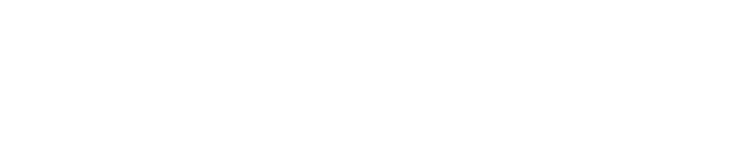 Salt marketing logo wordmark white