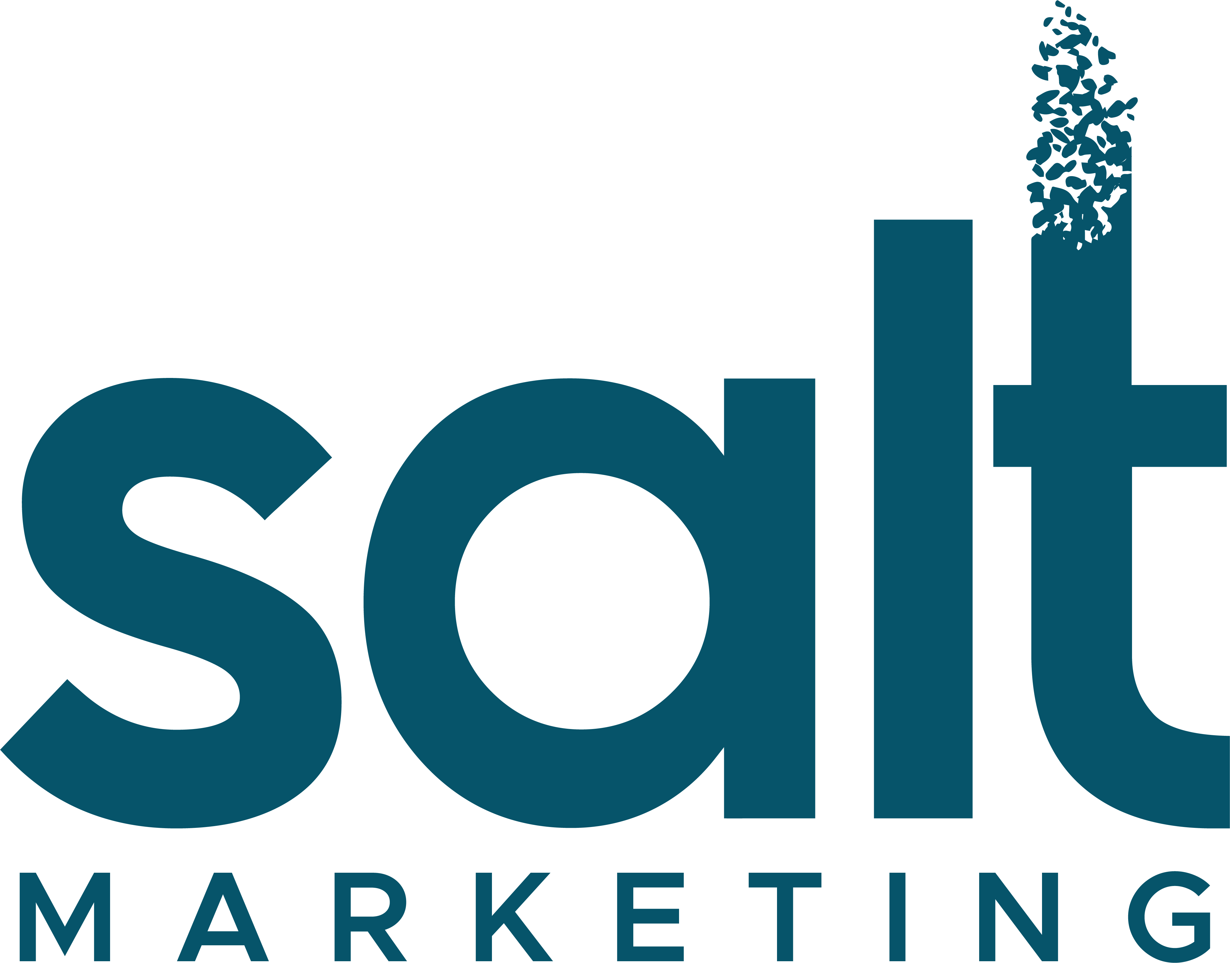 salt marketing logo